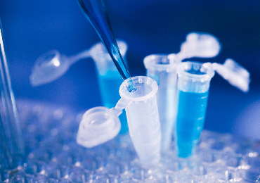 Sample Preparation